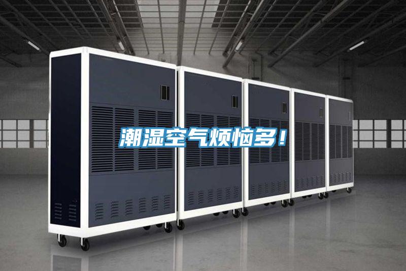 潮湿空气烦恼多！