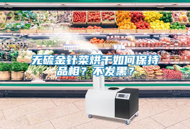 无硫金针菜烘干如何保持品相？不发黑？