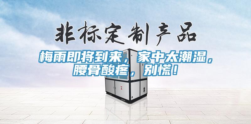 梅雨即将到来，家中太潮湿，腰骨酸疼，别慌！