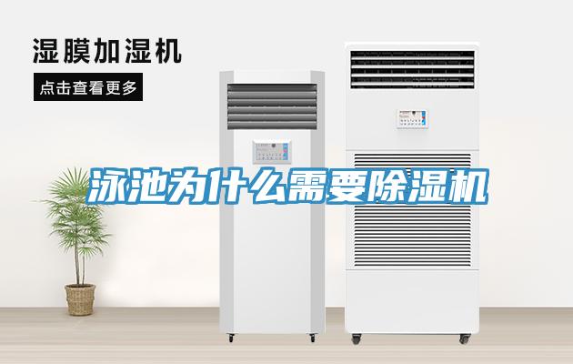 泳池为什么需要小黄片直播视频