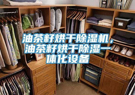 油茶籽烘干小黄片直播视频，油茶籽烘干除湿一体化设备