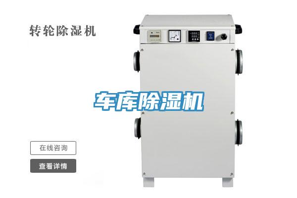 车库小黄片直播视频