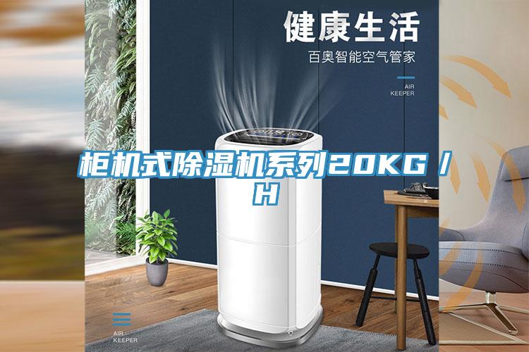 柜机式小黄片直播视频系列20KG／H