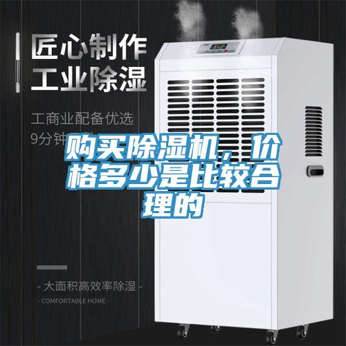 购买小黄片直播视频，价格多少是比较合理的
