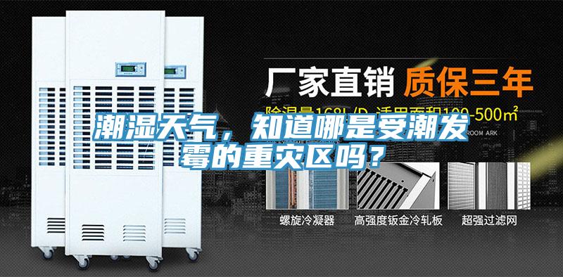 潮湿天气，知道哪是受潮发霉的重灾区吗？