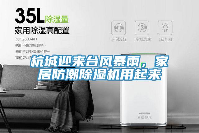杭城迎来台风暴雨，家居防潮小黄片直播视频用起来