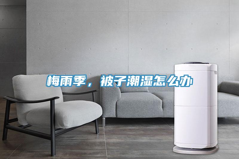 梅雨季，被子潮湿怎么办