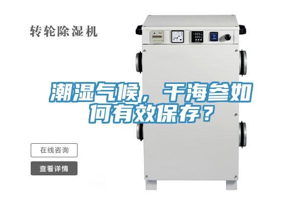 潮湿气候，干海参如何有效保存？