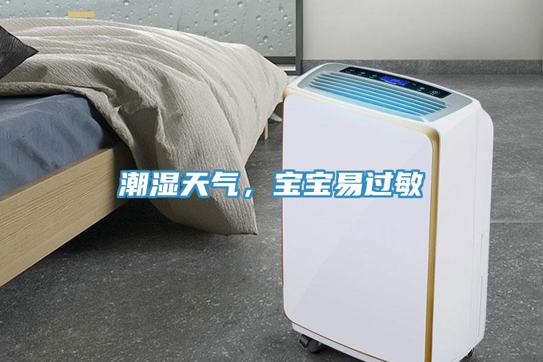 潮湿天气，宝宝易过敏