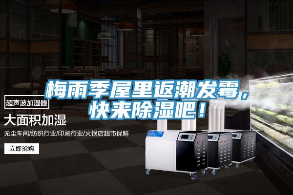 梅雨季屋里返潮发霉，快来除湿吧！