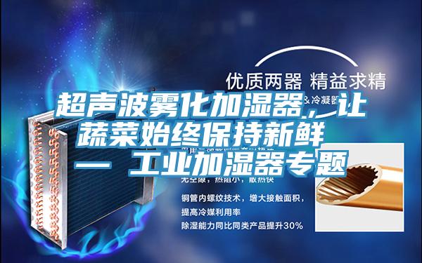 超声波雾化加湿器，让蔬菜始终保持新鲜 — 工业加湿器专题