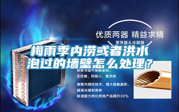 梅雨季内涝或者洪水泡过的墙壁怎么处理？