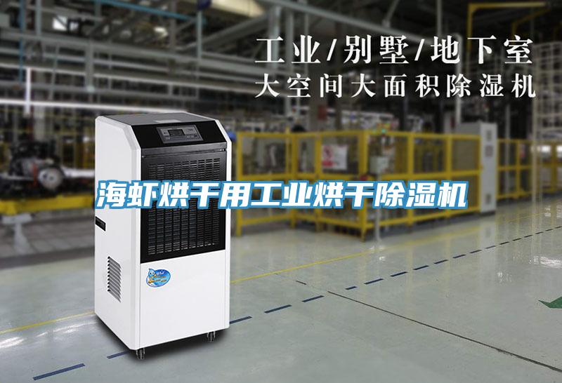 海虾烘干用工业烘干小黄片直播视频