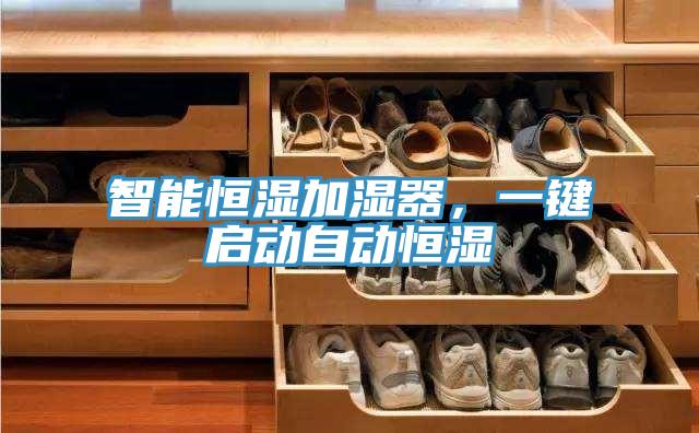 智能恒湿加湿器，一键启动自动恒湿