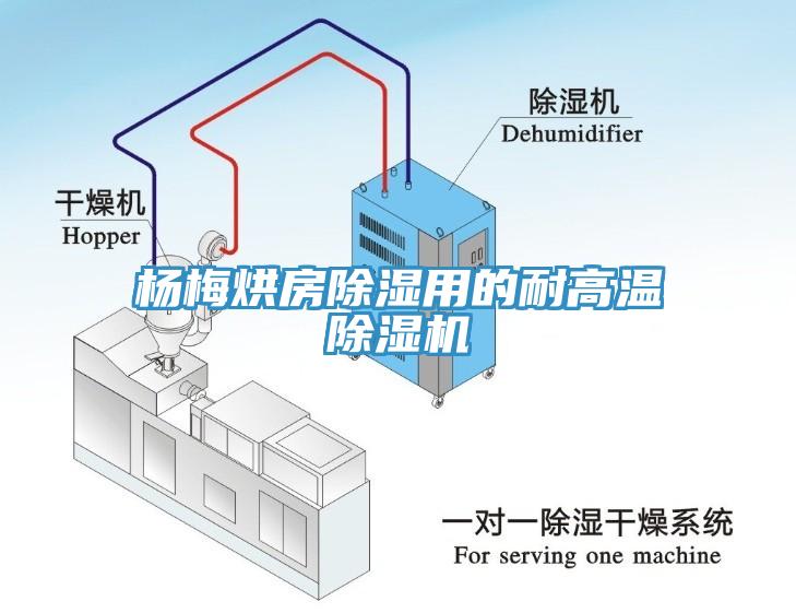 杨梅烘房除湿用的耐高温小黄片直播视频