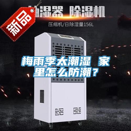 梅雨季太潮湿 家里怎么防潮？
