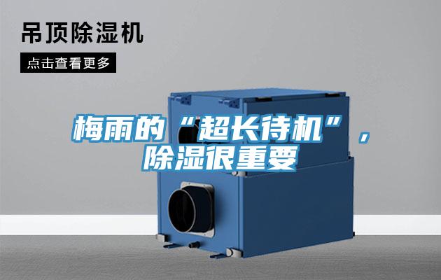 梅雨的“超长待机”，除湿很重要