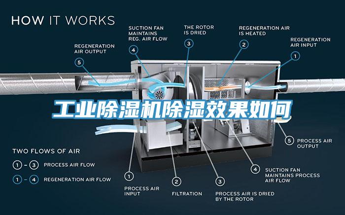 工业小黄片直播视频除湿效果如何