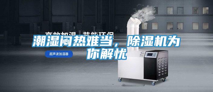 潮湿闷热难当，小黄片直播视频为你解忧