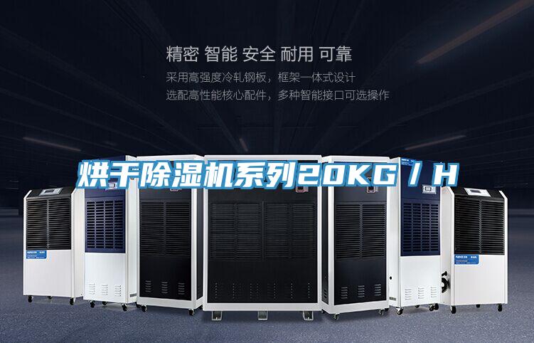 烘干小黄片直播视频系列20KG／H