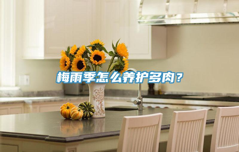 梅雨季怎么养护多肉？