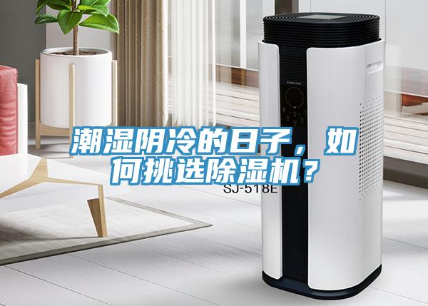 潮湿阴冷的日子，如何挑选小黄片直播视频？