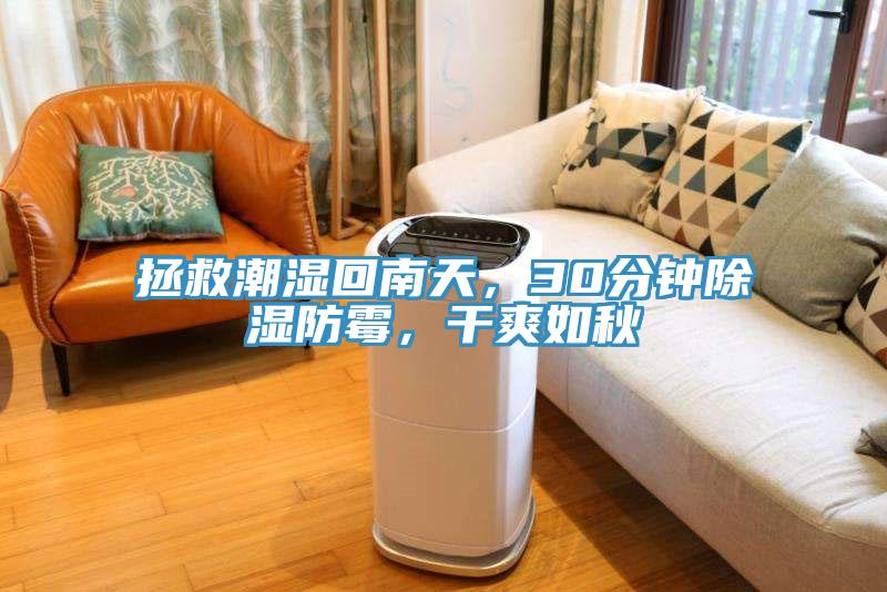 拯救潮湿回南天，30分钟除湿防霉，干爽如秋