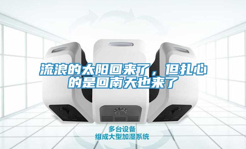 流浪的太阳回来了，但扎心的是回南天也来了