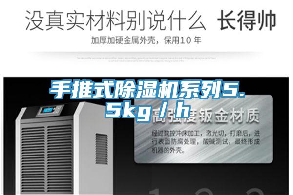 手推式小黄片直播视频系列5.5kg／h