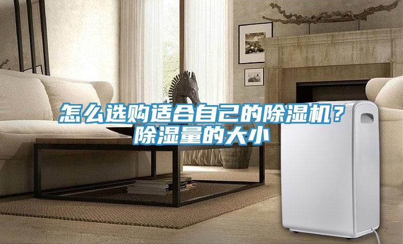 怎么选购适合自己的小黄片直播视频？除湿量的大小