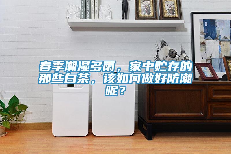 春季潮湿多雨，家中贮存的那些白茶，该如何做好防潮呢？