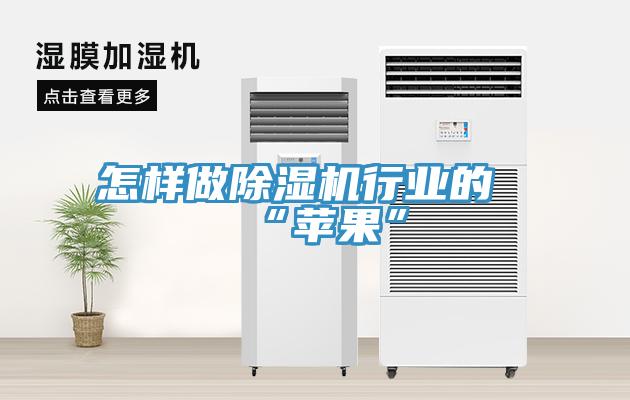 怎样做小黄片直播视频行业的“苹果”