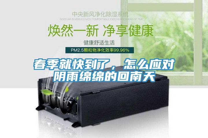 春季就快到了，怎么应对阴雨绵绵的回南天