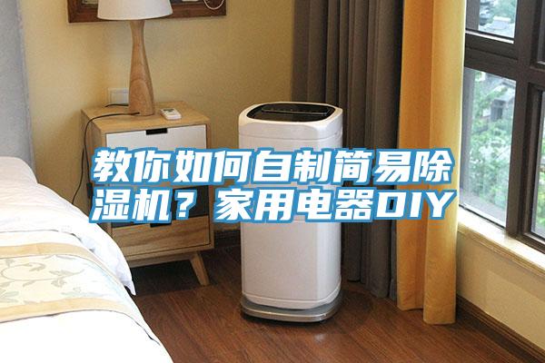 教你如何自制简易小黄片直播视频？家用电器DIY