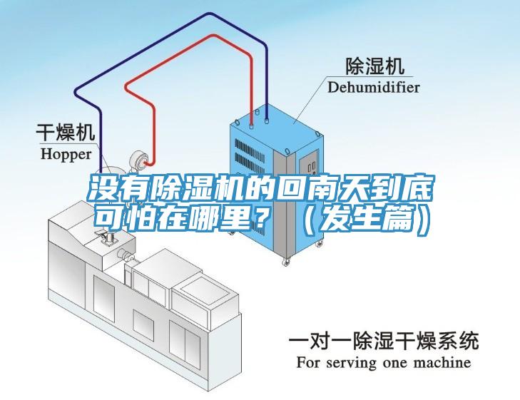 没有小黄片直播视频的回南天到底可怕在哪里？（发生篇）