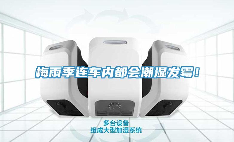 梅雨季连车内都会潮湿发霉！