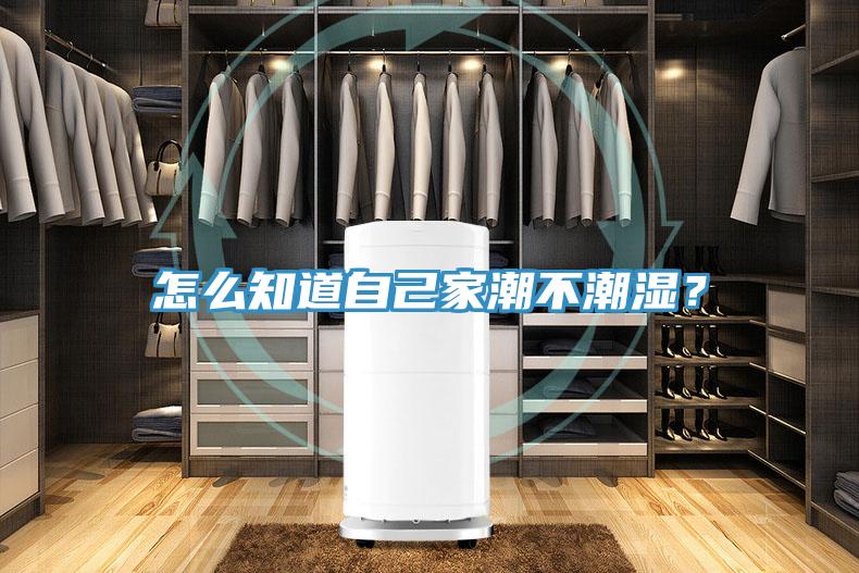 怎么知道自己家潮不潮湿？