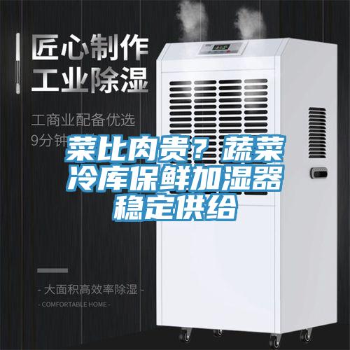 菜比肉贵？蔬菜冷库保鲜加湿器稳定供给