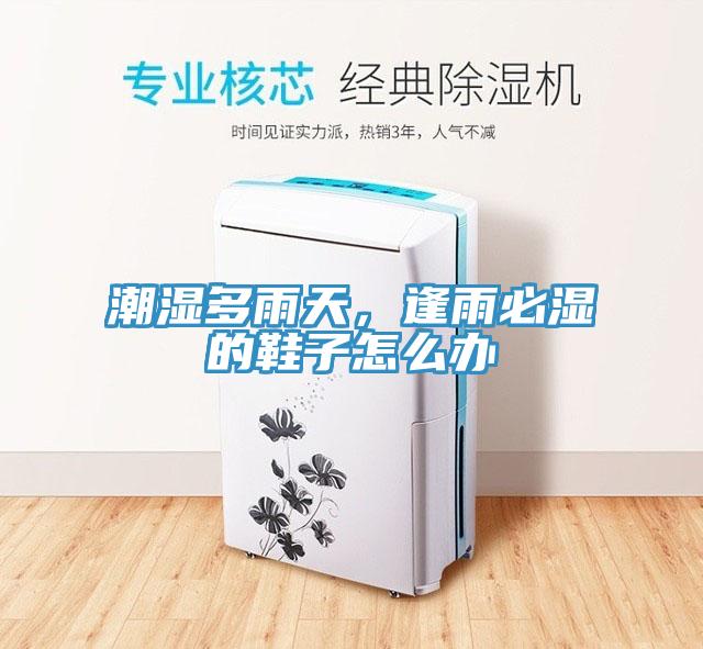 潮湿多雨天，逢雨必湿的鞋子怎么办