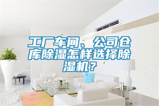 工厂车间、公司仓库除湿怎样选择小黄片直播视频？