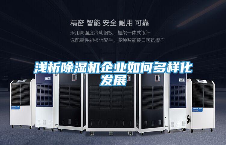 浅析小黄片直播视频企业如何多样化发展