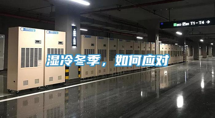 湿冷冬季，如何应对