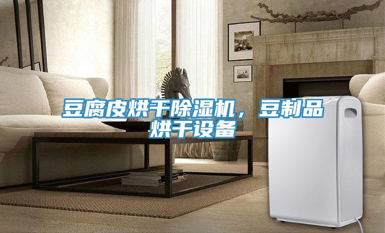 豆腐皮烘干小黄片直播视频，豆制品烘干设备