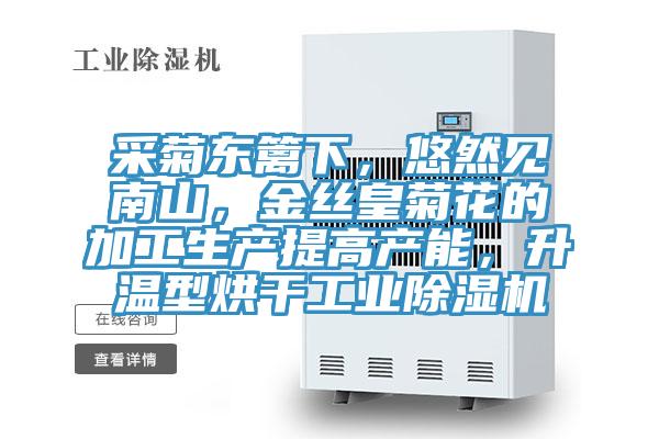采菊东篱下，悠然见南山，金丝皇菊花的加工生产提高产能，升温型烘干工业小黄片直播视频
