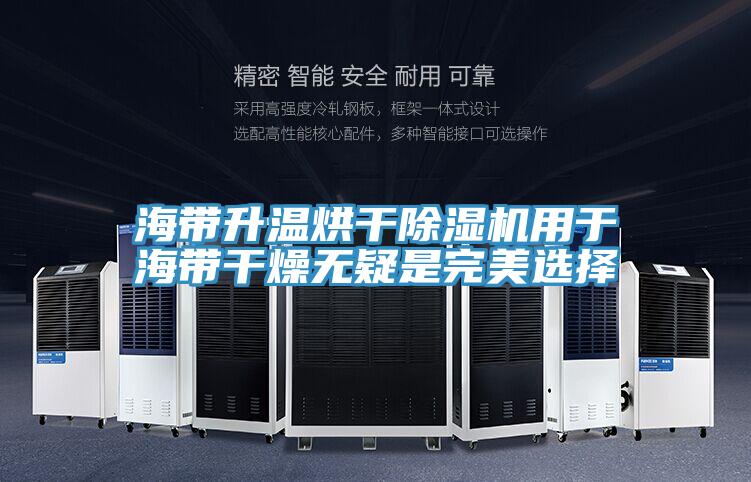 海带升温烘干小黄片直播视频用于海带干燥无疑是完美选择
