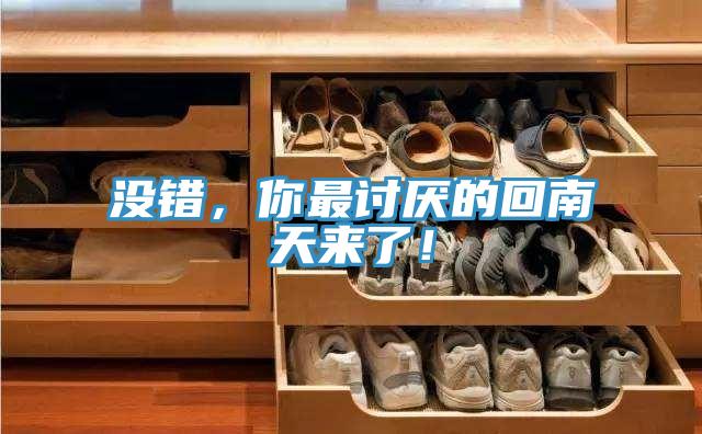 没错，你最讨厌的回南天来了！