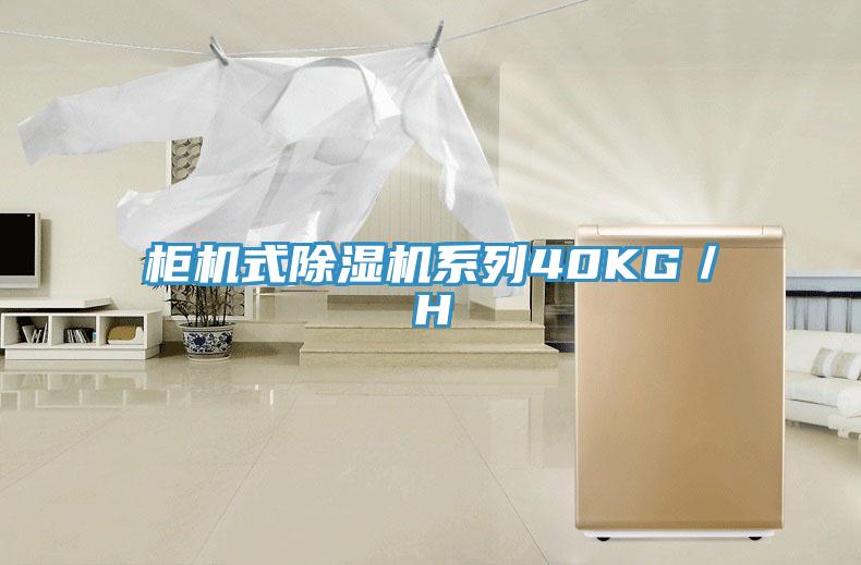 柜机式小黄片直播视频系列40KG／H