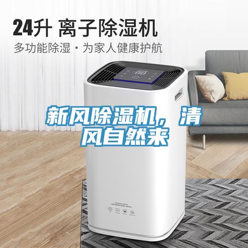 新风小黄片直播视频，清风自然来