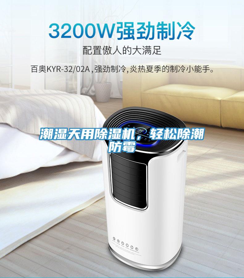 潮湿天用小黄片直播视频，轻松除潮防霉