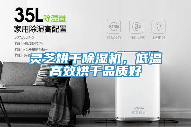 灵芝烘干小黄片直播视频，低温高效烘干品质好